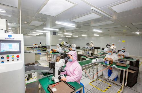 奮進在春光里 電子信息產(chǎn)業(yè)滿園春色，信息技術(shù)咨詢服務(wù)賦能向海圖強
